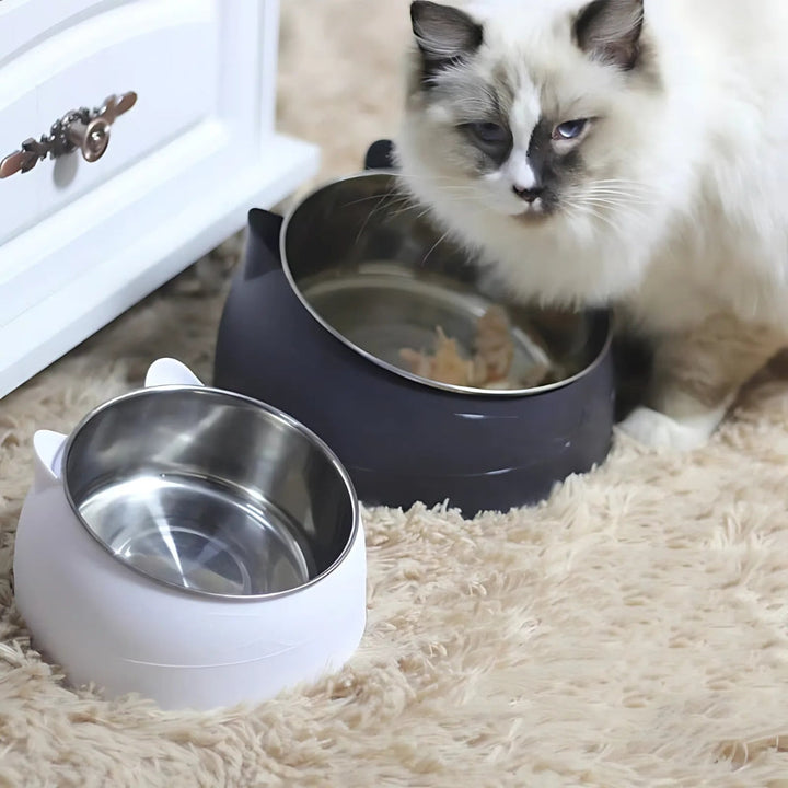 Raised Tilted Bowl for Dogs and Cats
