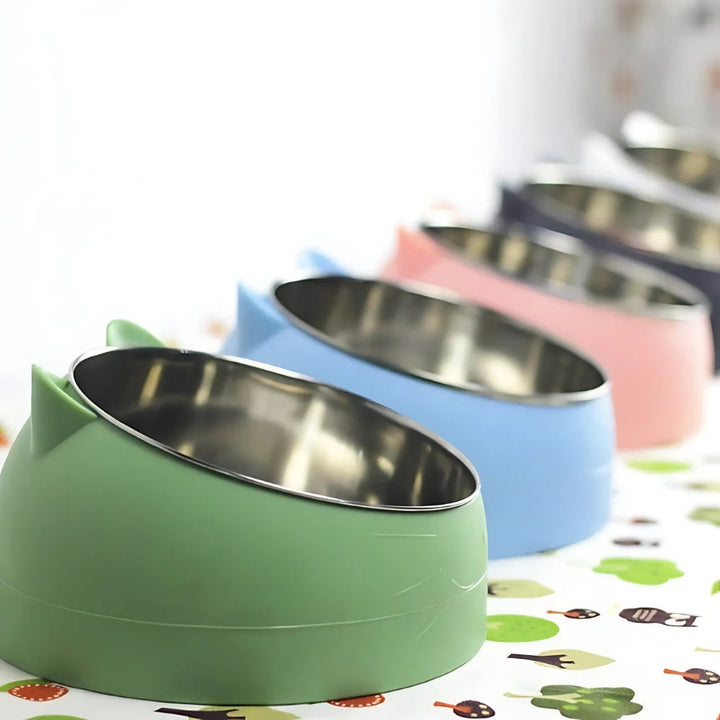 Raised Tilted Bowl for Dogs and Cats