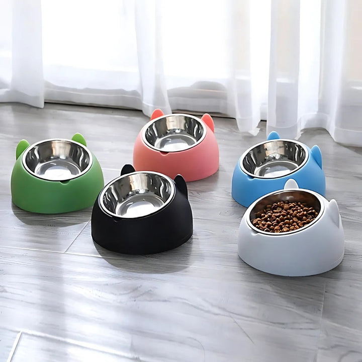 Raised Tilted Bowl for Dogs and Cats