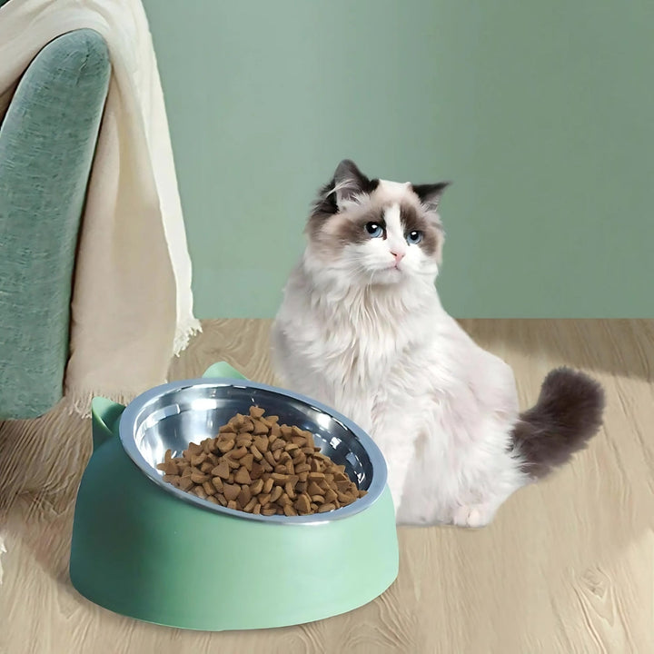 Raised Tilted Bowl for Dogs and Cats