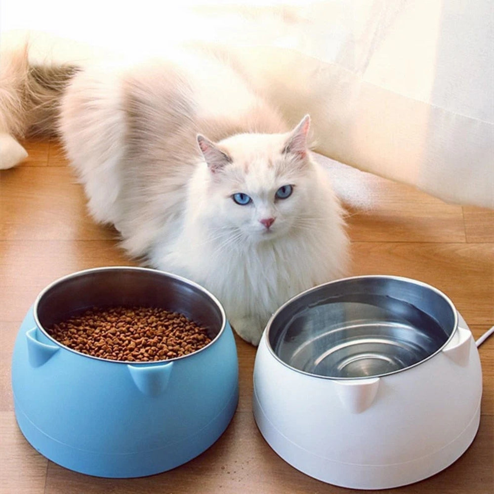 Raised Tilted Bowl for Dogs and Cats