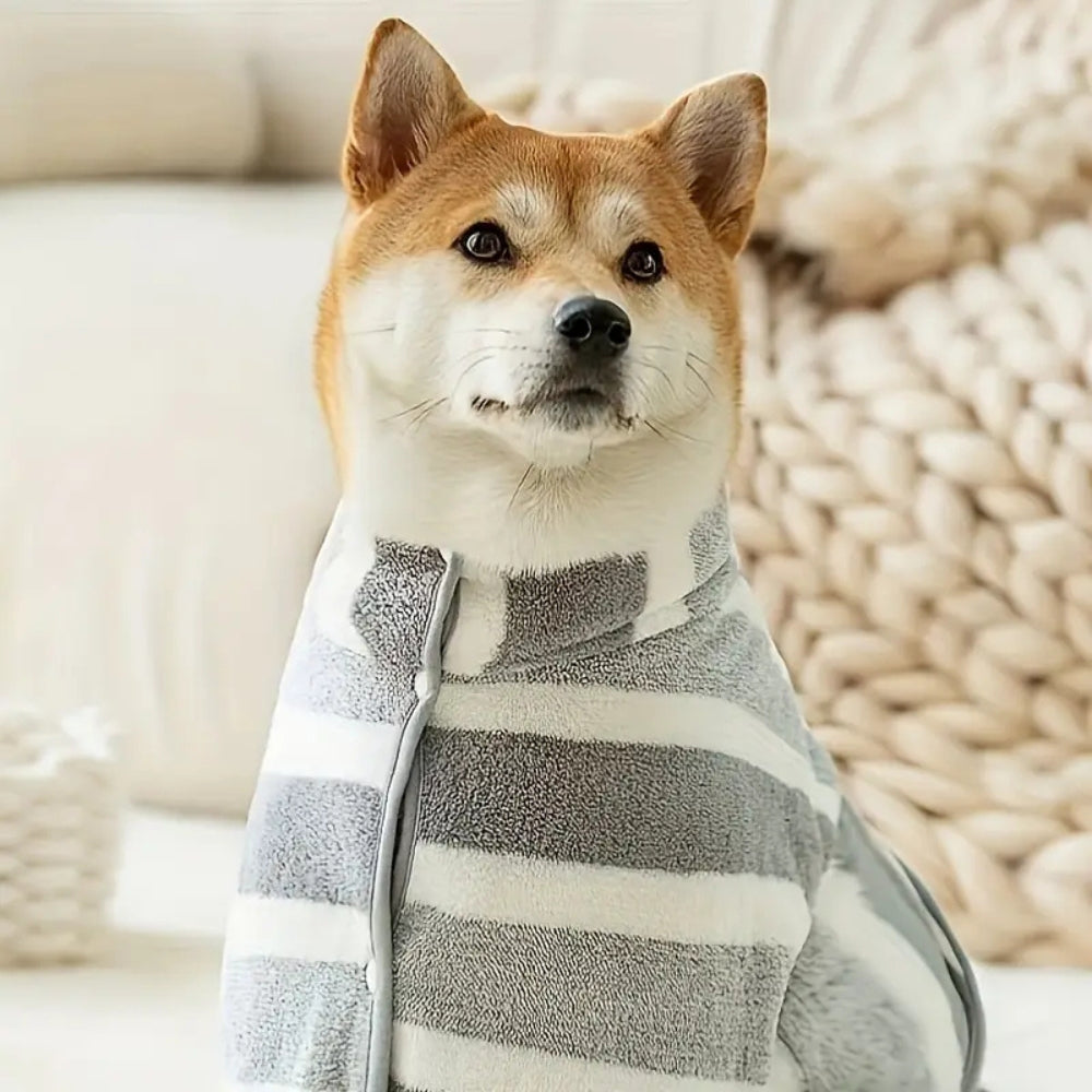 Quick-Drying Dog Robe and Towel