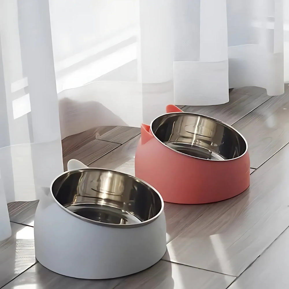 Raised Tilted Bowl for Dogs and Cats