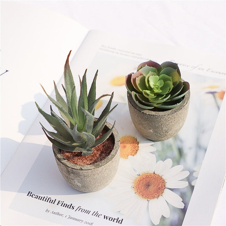 Artificial Succulents in Stone Pots (Set)