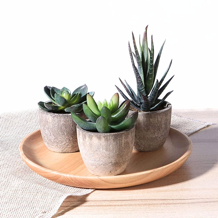 Artificial Succulents in Stone Pots (Set)