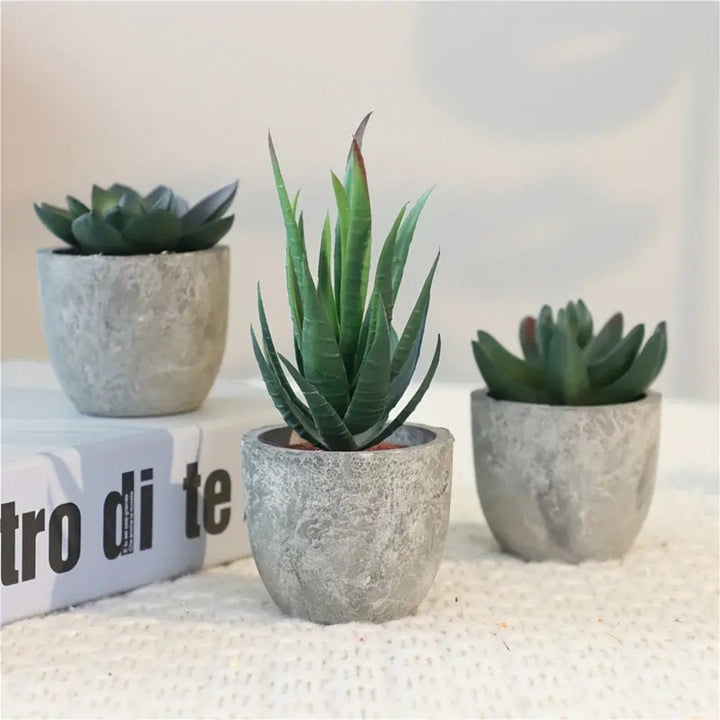 Artificial Succulents in Stone Pots (Set)