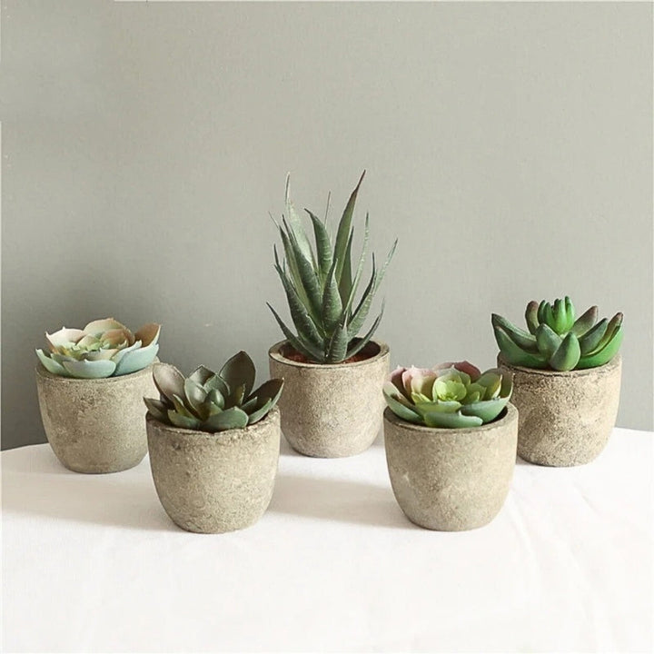 Artificial Succulents in Stone Pots (Set)