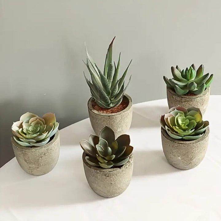 Artificial Succulents in Stone Pots (Set)