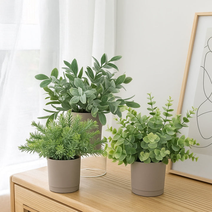 Artificial Plants in Modern Pots (Set of 3)
