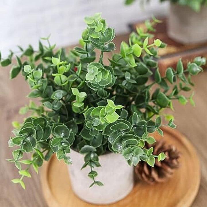 Artificial Plants in Modern Pots (Set of 3)
