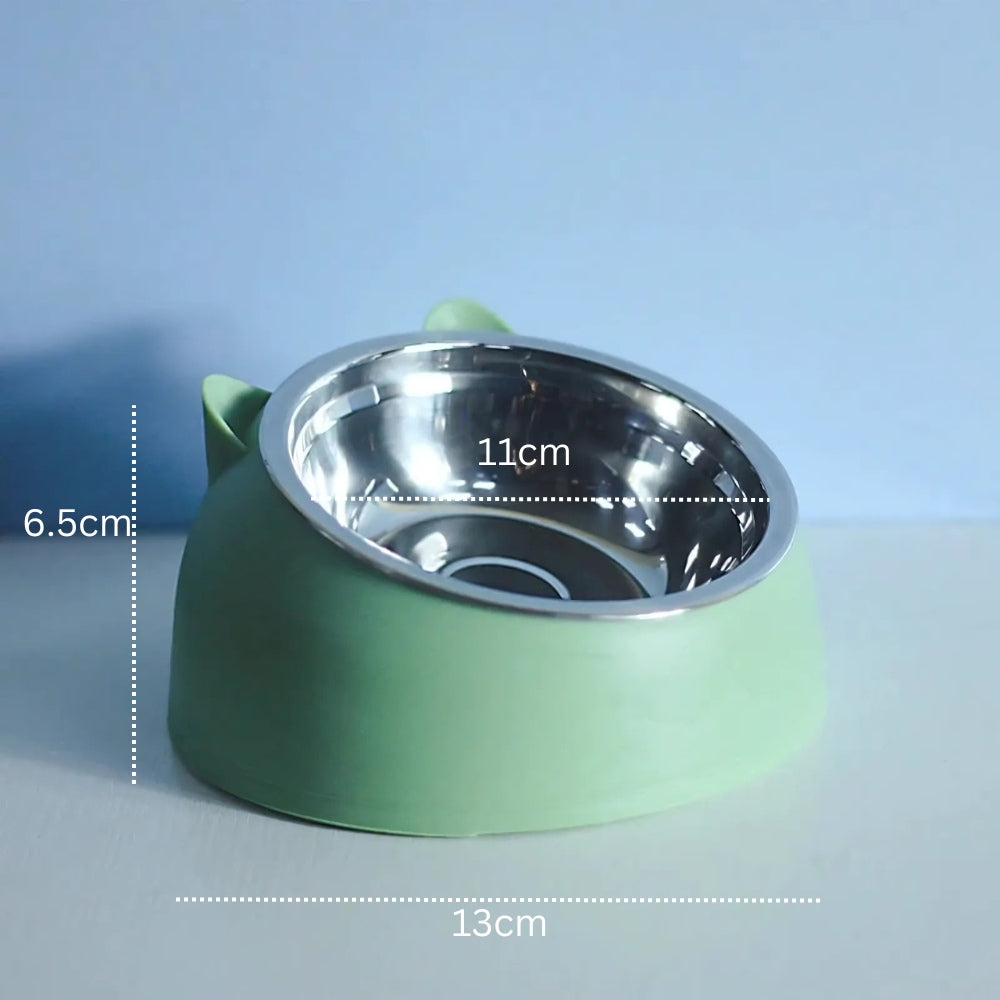 Raised Tilted Bowl for Dogs and Cats