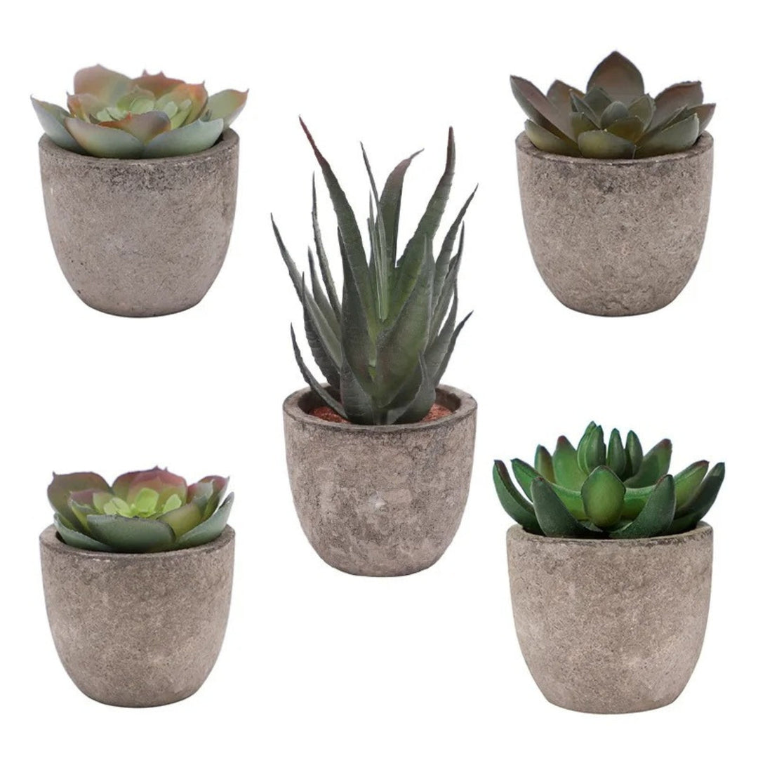 Artificial Succulents in Stone Pots (Set)