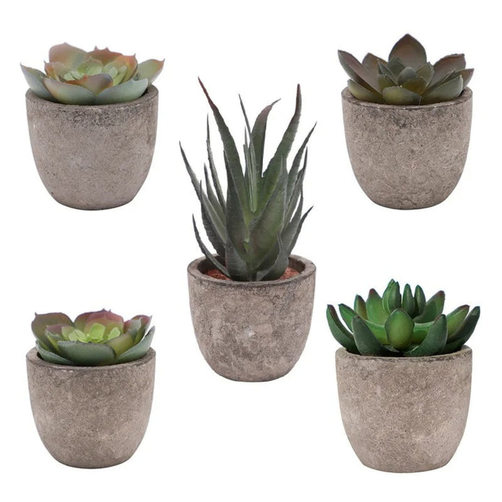Artificial Succulents in Stone Pots (Set)