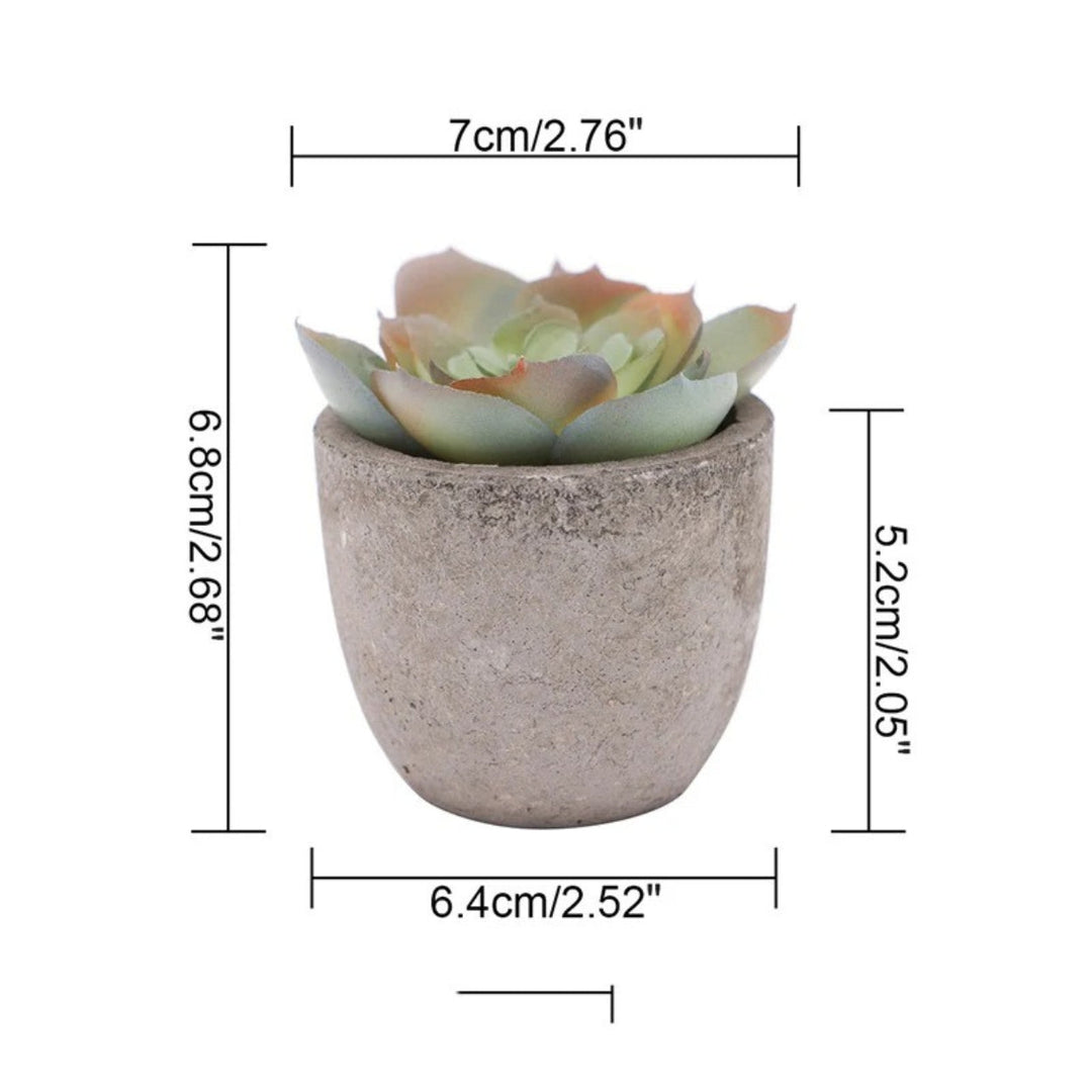 Artificial Succulents in Stone Pots (Set)