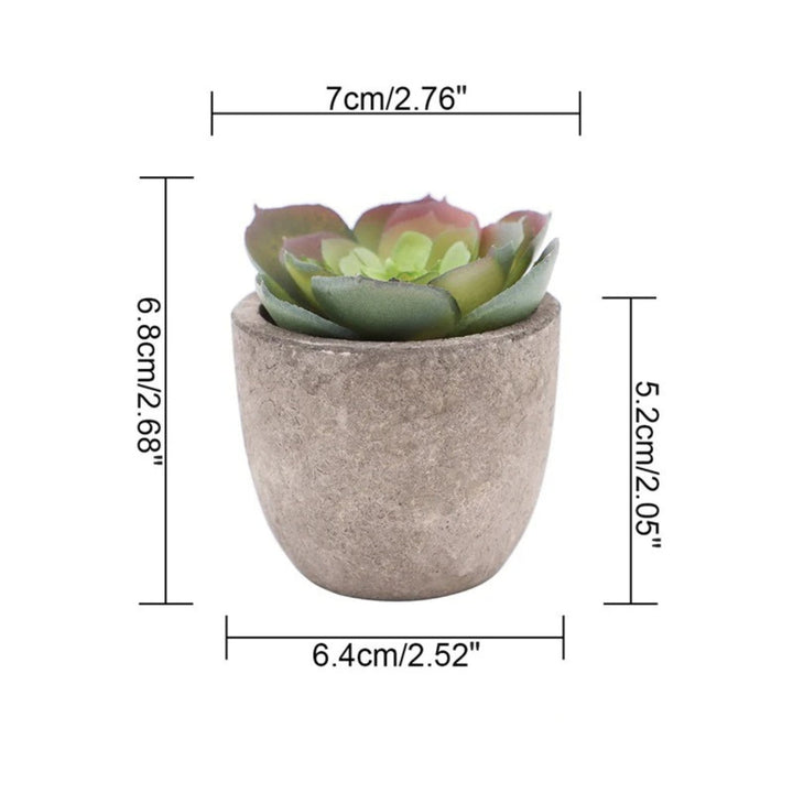 Artificial Succulents in Stone Pots (Set)