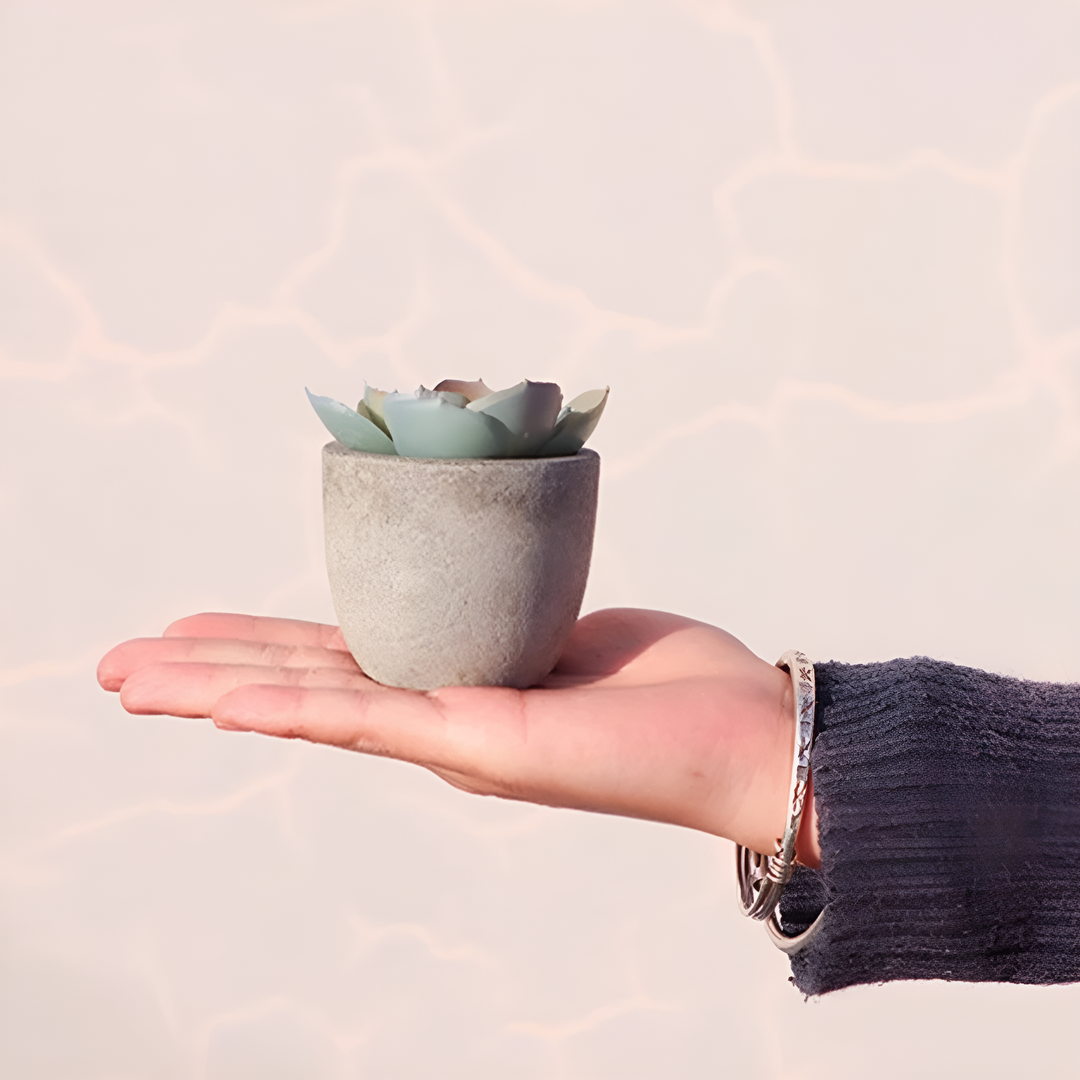 Artificial Succulents in Stone Pots (Set)