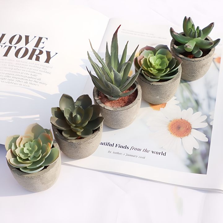 Artificial Succulents in Stone Pots (Set)