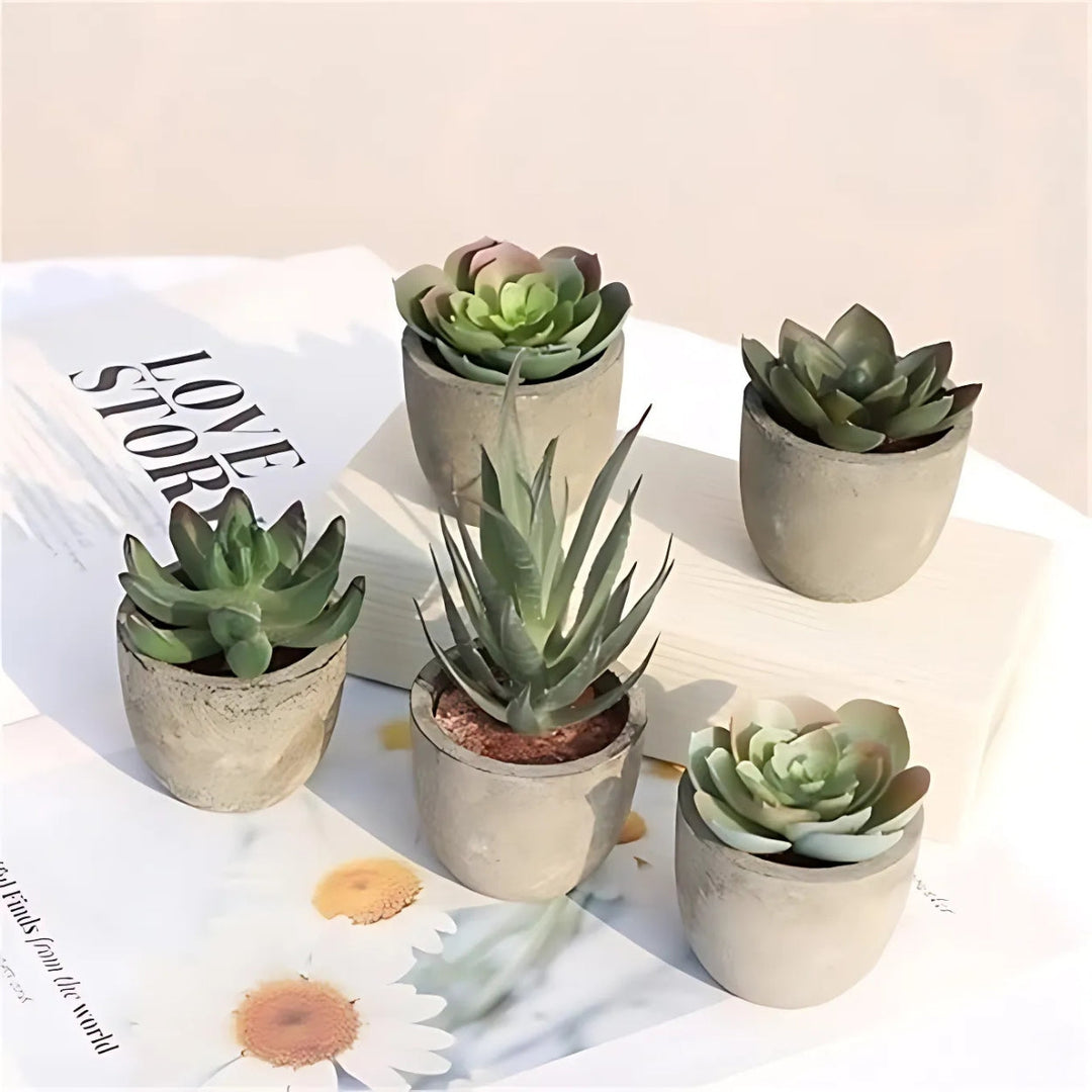 Artificial Succulents in Stone Pots (Set)
