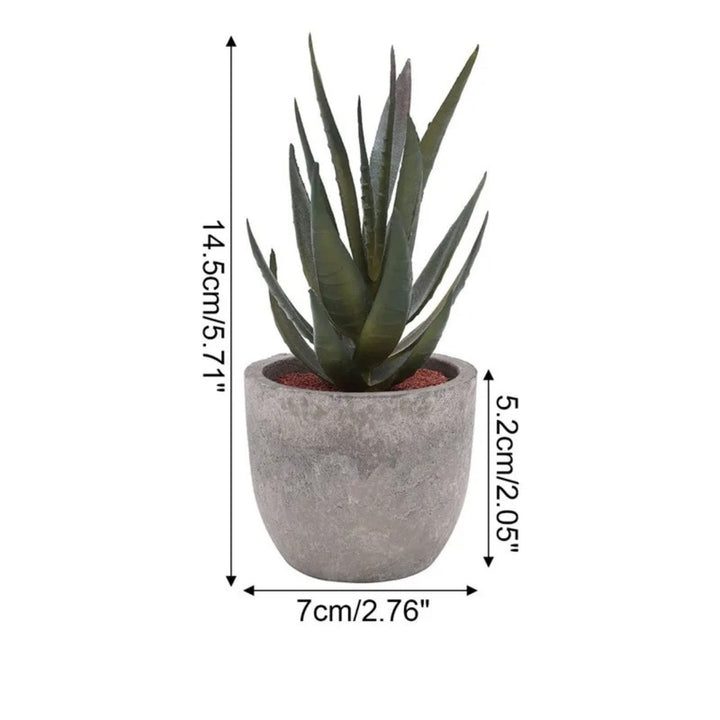 Artificial Succulents in Stone Pots (Set)