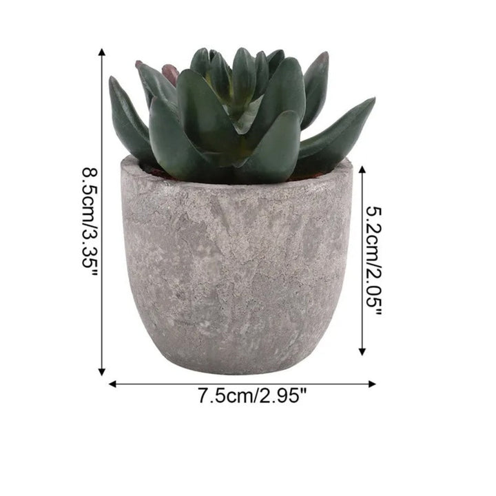 Artificial Succulents in Stone Pots (Set)