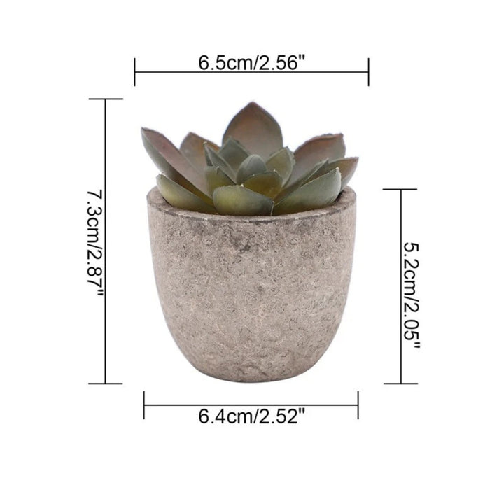 Artificial Succulents in Stone Pots (Set)